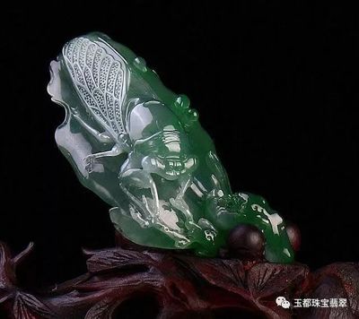 什么樣的翡翠才有收藏價值？